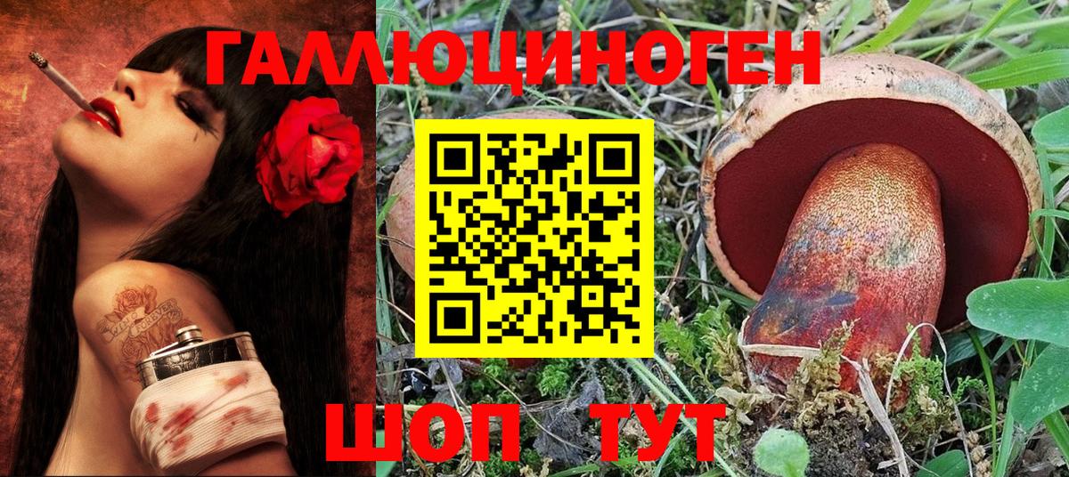 Галлюциногенные грибы Psilocybe Назрань